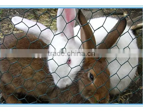 PVC Coated Hexagonal Wire Mesh/Plastic Coated Hexagonal Wire Mesh Made in China photo-2