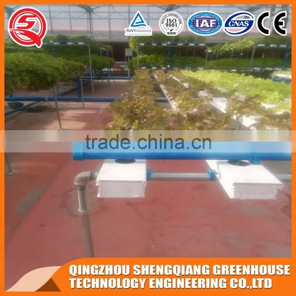 China Factory Direct Glass Greenhouse Hydroponic Systems for Sale photo-6