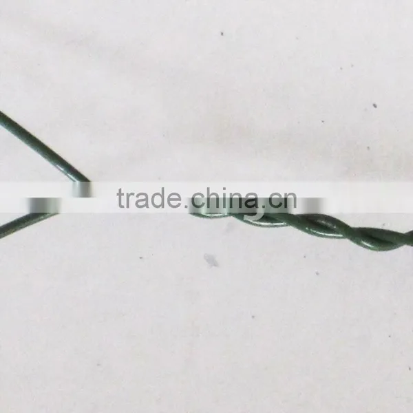 Factory Supply Plant Metal Wire on Wooden Stick photo-4