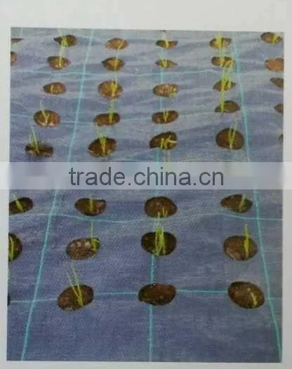 Grass Weed Mat photo-6
