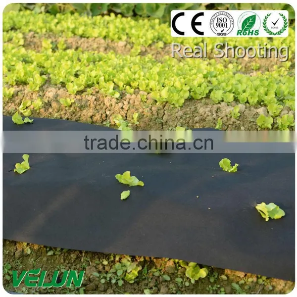 Non-woven Fabric Agriculture Non Woven Geotextile Fabric photo-3