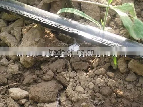 Inline Drip Lateral photo-5