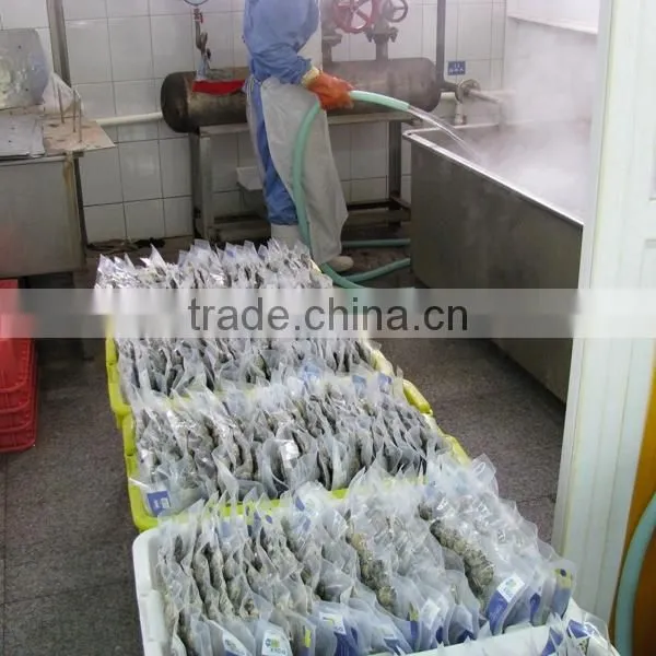Frozen V-packed Short Necked Clam photo-6