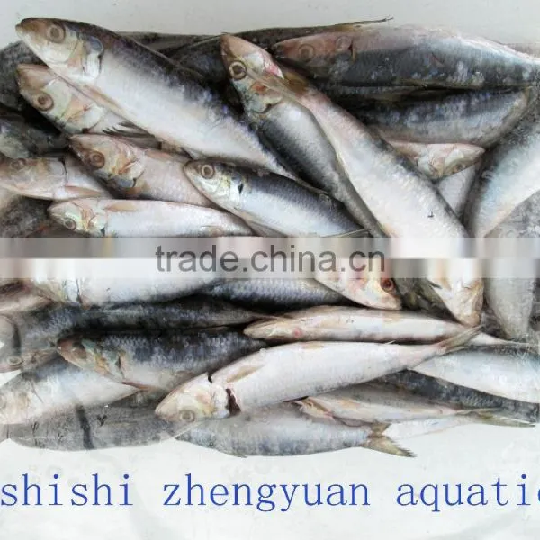 Sea W/R Frozen Sardines photo-2