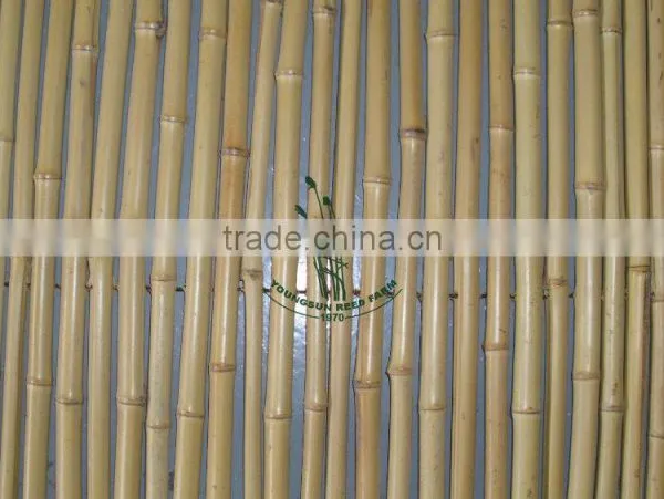 Natural Split Bamboo Reed Fence photo-6