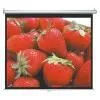 Sell Projection Screen (United Arab Emirates)
