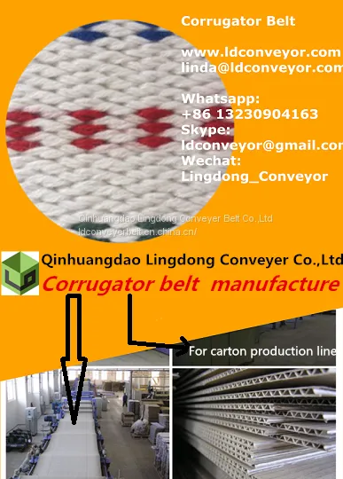 Canvas Belt