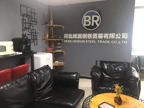 Hebei Borun Steel Trade Co., Ltd company overview - view 1