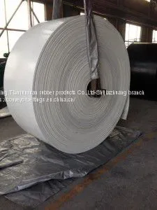 White Conveyor Belt Debossed Chevron Conveyor Belt for Food photo-3