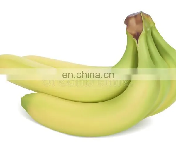 A Nutritious Fresh Banana From Vietnam photo-4