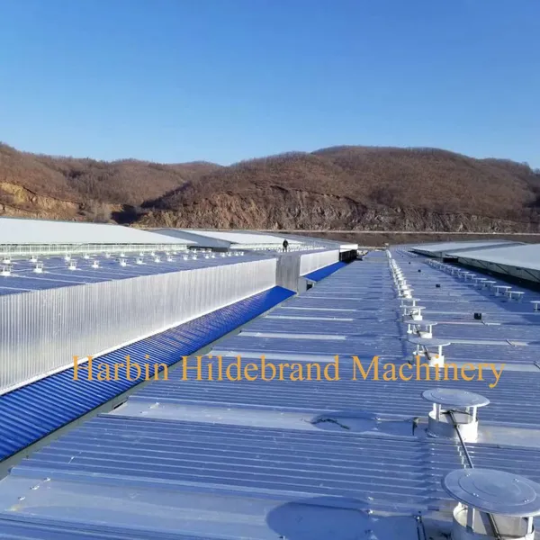 Germany Joint Venture Conventional Timber Dry Kiln, Kiln Dryer for Wood Dry Kilns photo-4