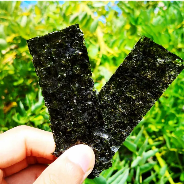 Seasoned Seaweed Crisps Flavored Seaweed Whole Box Bulk 12000 Bags 2 Pieces per Bag Children's Snacks photo-4
