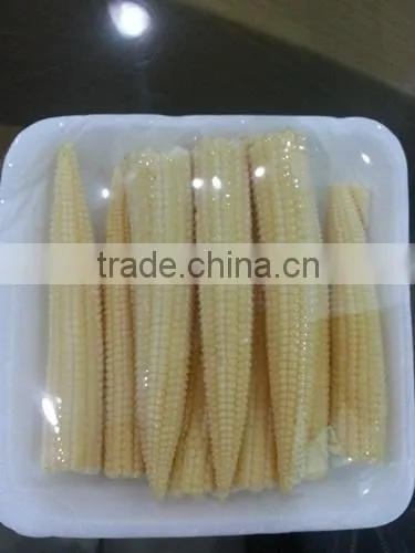 Organic Fresh Baby Corn photo-3