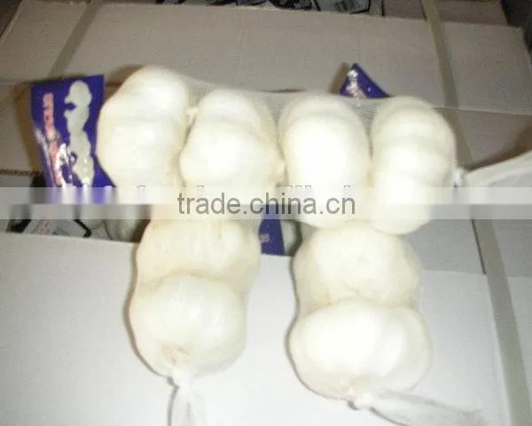 Garlic Price in China photo-3
