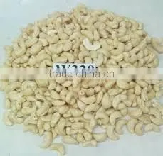 High Quality Vietnam Cashew Kernels Grade WW320, WW450, WS photo-5