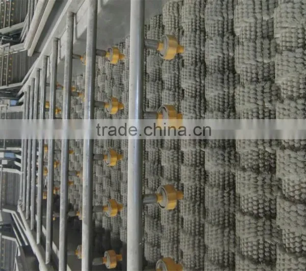 Potato Grading Machine /potato Sorting Machine Line