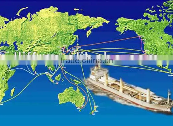 Sea Freight to Mumbai MOMBASA Kenya From Guangzhou Ningbo Shanghai Shenzhen photo-6