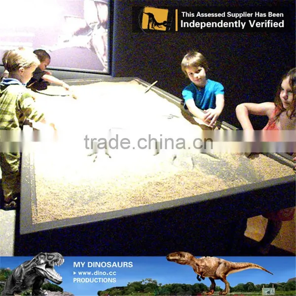 MY Dino-C093 Museum Exhibition Dinosaur Egg Specimen photo-6
