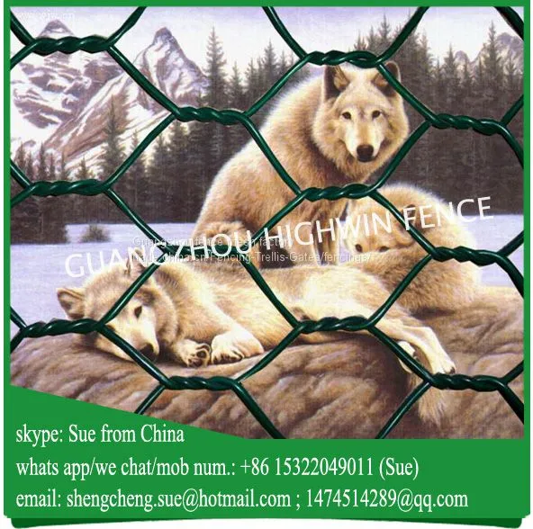 Cheap Chicken Wire Mesh 25mm Hole Poultry Fencing photo-2