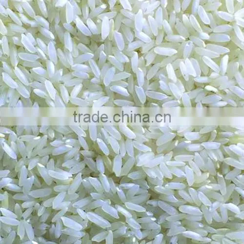 Short Grain White Rice 5% Broken in India