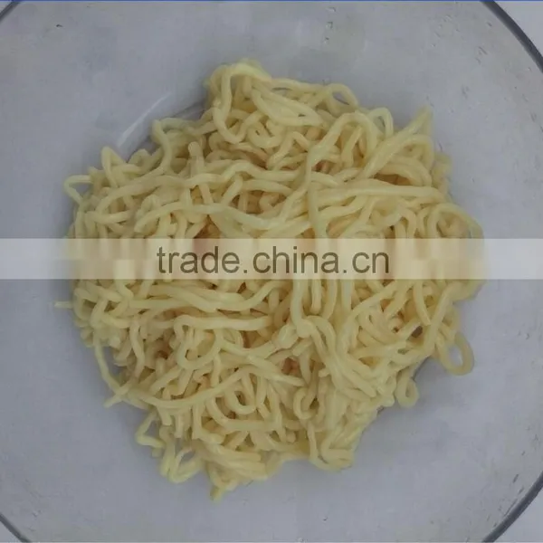 Shirataki Egg Noodles Which is Alternative for the Italian Pasta