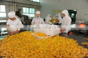 Frozen Yellow Peach photo-2