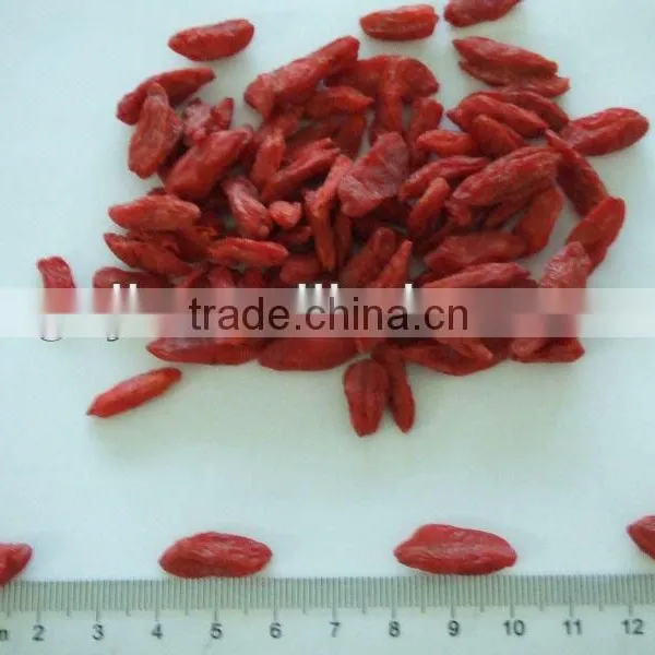 NINGXIA GOJI BERRIES photo-3