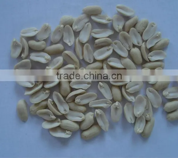 25/29 29/33 BLANCHED PEANUT KERNEL photo-3