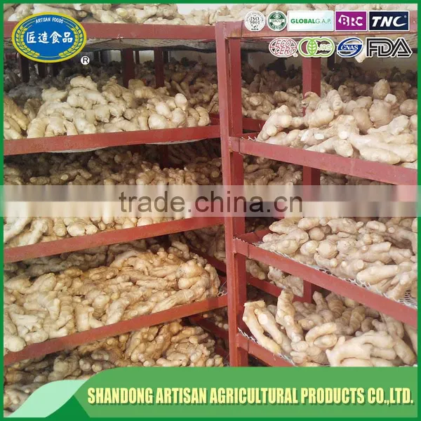 Air Dried Ginger photo-4