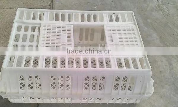 Plastic Turnover Box for Chickens photo-5