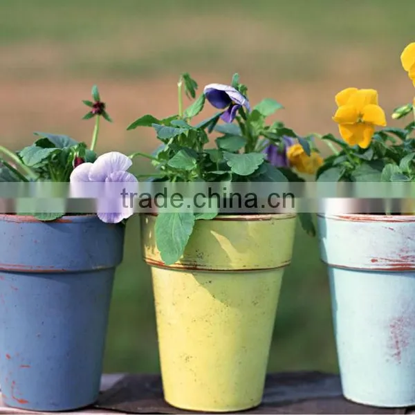 Horticultural Grade Diatomaceous Earth Potting Soil and Hydroponic Growing Medium photo-3