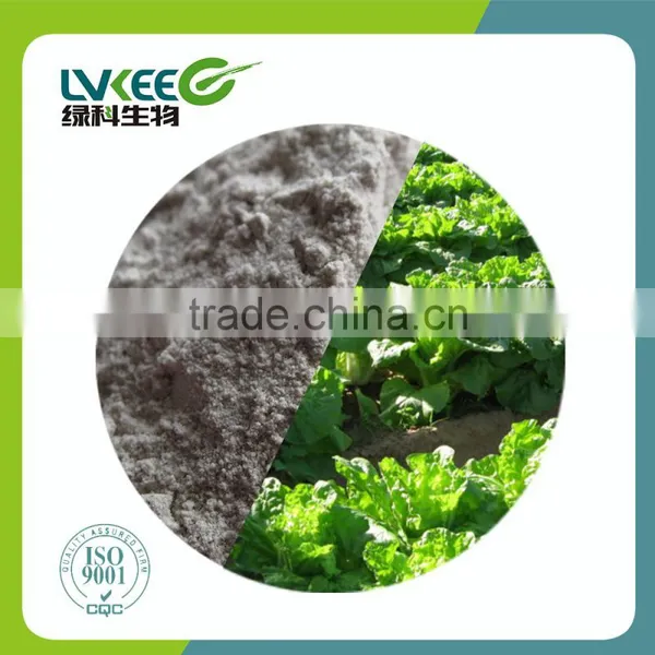 Lvkee Amino Acid Stimulating Powder Lactobacillus Plantarum in Providing Energy and Nutrition