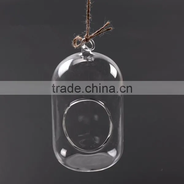 Hanging Micro Landscape Ecological Meaty Plant Glass Vase photo-3