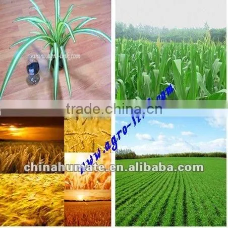 China Manufacture Humate Acid Price photo-2