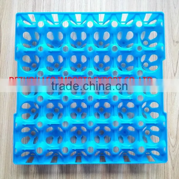 China High Quality Plastic Egg Tray for 30 Chicken Eggs photo-3