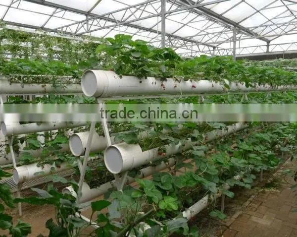 Solar Greenhouse Hydroponic Systems