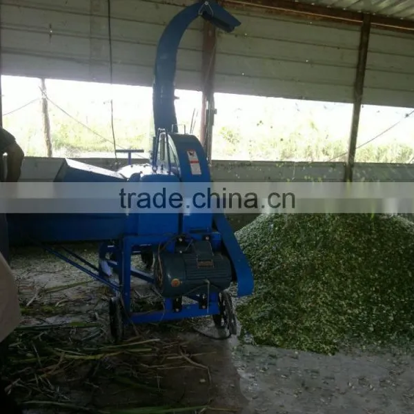 High Quality Electric Chaff Cutter Machine for Animal photo-6