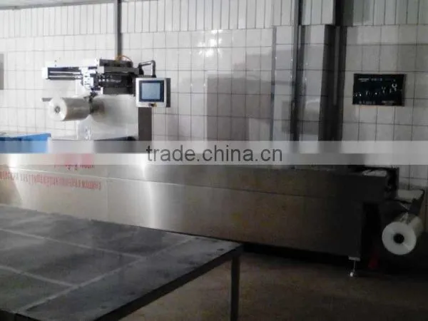 RZ420 Automatic Hot Formation Vacuum Thermoforming Machine photo-3