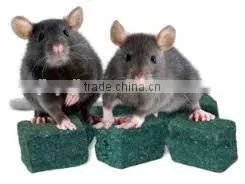 Advanced High-efficiency Rat Bait Wax Block Press Machine in China photo-5