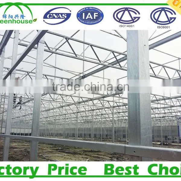 Commercial Metalic Greenhouse photo-5