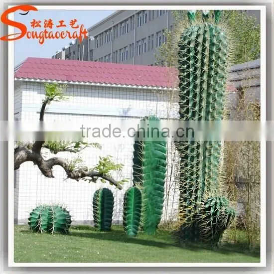 Latest Design Home Decoration Craft Artificial Cactus Plants Make Decoration Plastic Cactus and Plants photo-6