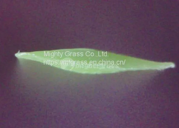 Residential Artificial Grass, MT-Promising / MT-Marvel photo-2