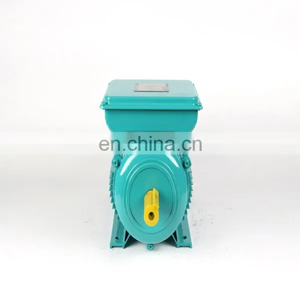 YL Series Single Phase Motor Induction Motor photo-6