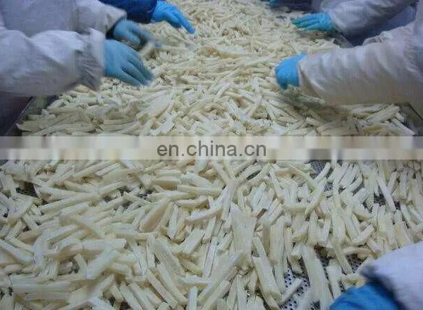 Frozen French Fries Processing Plant Small Scale Potato Chips Production LPG French Fries Production Line Plant photo-7