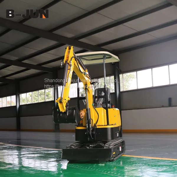Cheap Price Hot Sale 1000kg Small Excavator for Sale photo-3