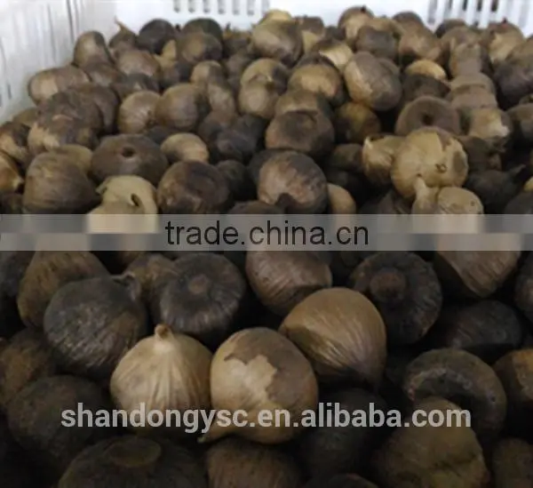 Good Quality Black Garlic photo-4