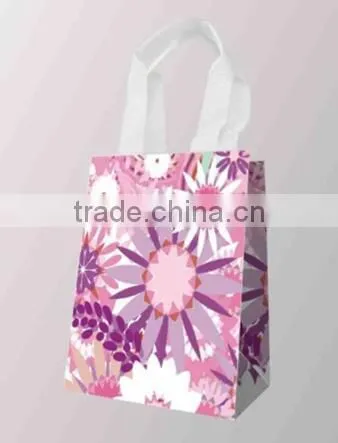 Fancy Gift Bag, Souvenir Packaging Bags photo-2