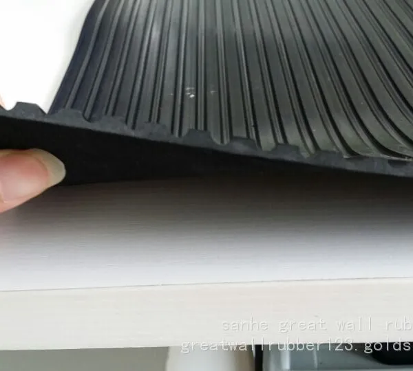 Rib photo-3