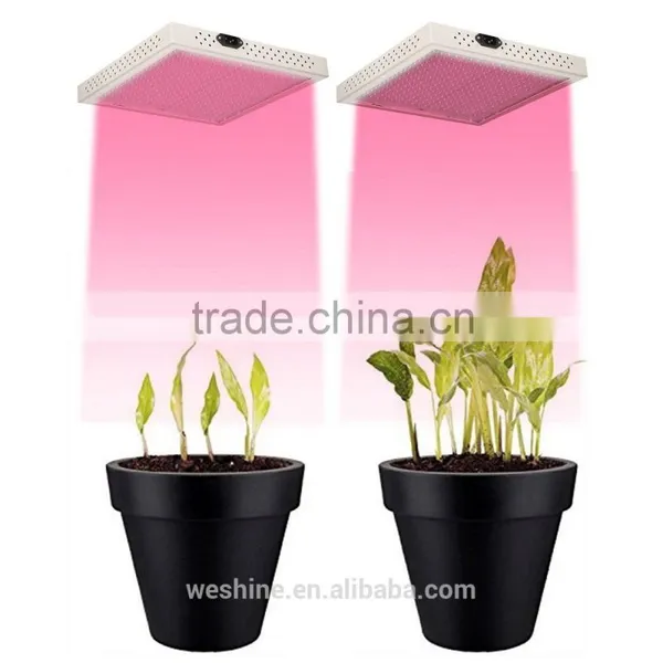 Factory Price Hot Selling Hydroponics 20W Led Grow Lights for Plants Growth photo-5
