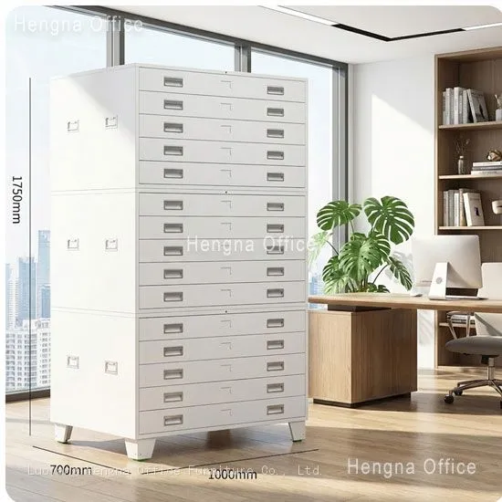Heavy Duty Cold Rolled Steel Plan File Cabinet | with Label Inserts | for Archive Management